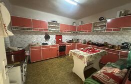 Casă de vânzare, 202 mp, teren 1.178 mp, zona Petin