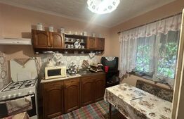 Casă de vânzare, 202 mp, teren 1.178 mp, zona Petin