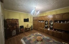 Casă de vânzare, 202 mp, teren 1.178 mp, zona Petin