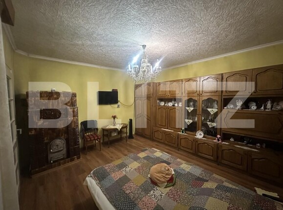 Casa de vânzare 5 camere Petin - 204845CV | BLITZ Satu Mare | Poza9