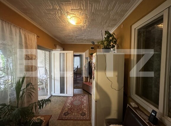 Casa de vânzare 5 camere Petin - 204845CV | BLITZ Satu Mare | Poza4
