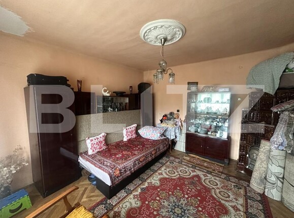 Casa de vânzare 5 camere Petin - 204845CV | BLITZ Satu Mare | Poza11