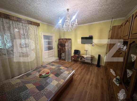 Casa de vânzare 5 camere Petin - 204845CV | BLITZ Satu Mare | Poza7