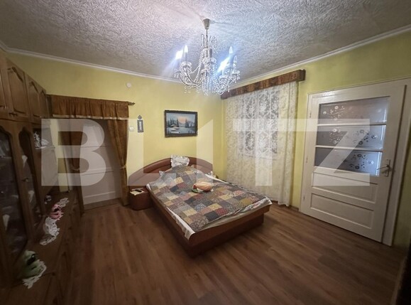 Casa de vânzare 5 camere Petin - 204845CV | BLITZ Satu Mare | Poza8