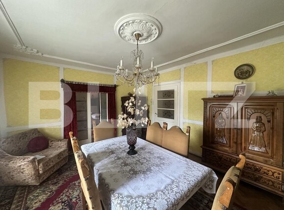 Casa de vânzare 5 camere Petin - 204845CV | BLITZ Satu Mare | Poza14