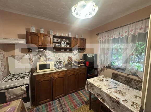 Casa de vânzare 5 camere Petin - 204845CV | BLITZ Satu Mare | Poza2