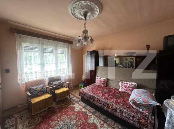 Casa de vânzare 5 camere Petin - 204845CV | BLITZ Satu Mare | Poza10