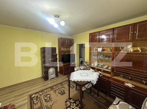 Casa de vânzare 3 camere Odoreu - 204848CV | BLITZ Satu Mare | Poza9
