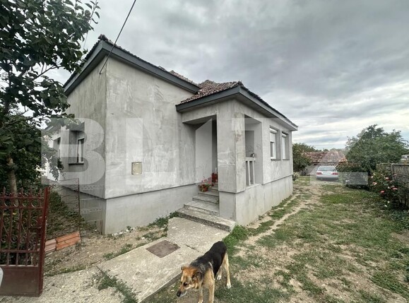Casa de vânzare 3 camere Odoreu - 204848CV | BLITZ Satu Mare | Poza1