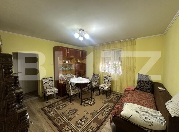 Casa de vânzare 3 camere Odoreu - 204848CV | BLITZ Satu Mare | Poza8