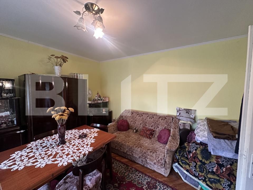 Casa de vânzare 3 camere Odoreu - 204848CV | BLITZ Satu Mare | Poza6