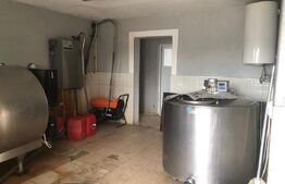 Teren de vanzare, 15.000 mp, ferma, zona Mărtinești