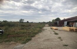 Teren de vanzare, 15.000 mp, ferma, zona Mărtinești