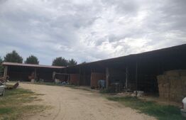 Teren de vanzare, 15.000 mp, ferma, zona Mărtinești