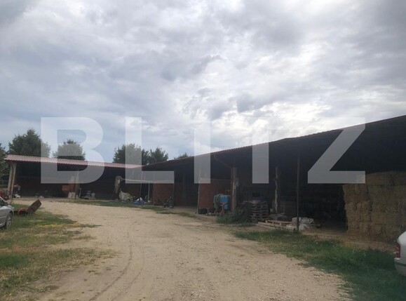 Teren de vânzare Mărtineşti - 204868TV | BLITZ Satu Mare | Poza8
