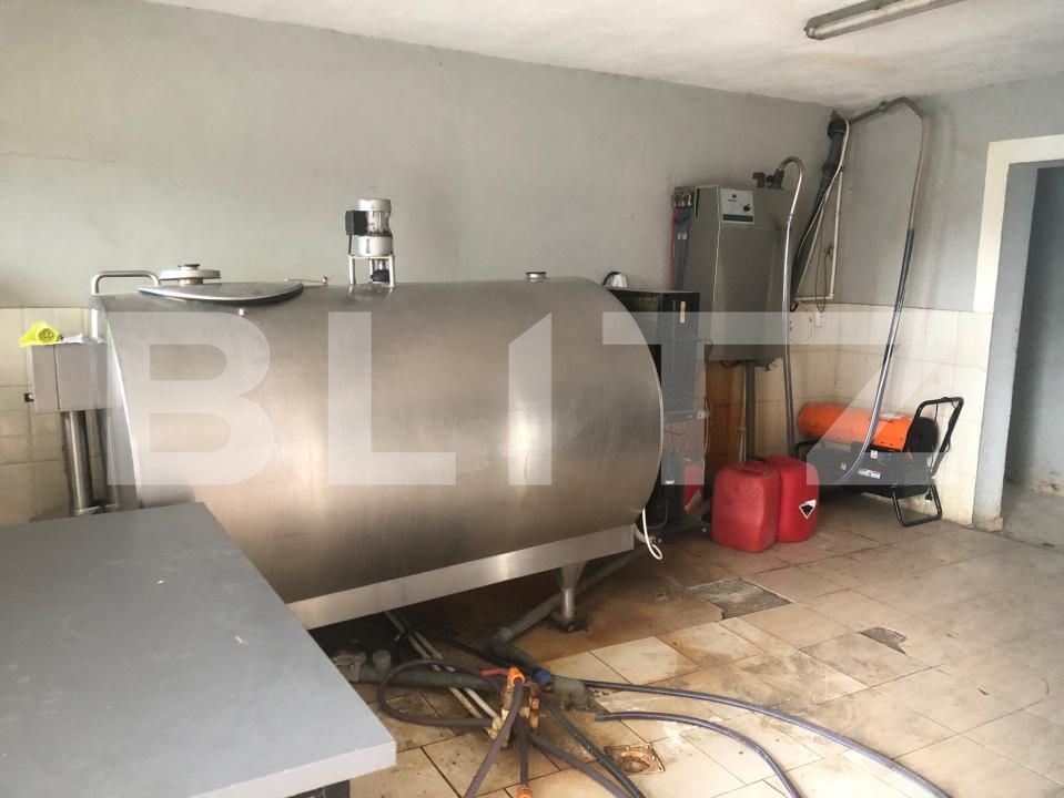 Teren de vânzare Mărtineşti - 204868TV | BLITZ Satu Mare | Poza3