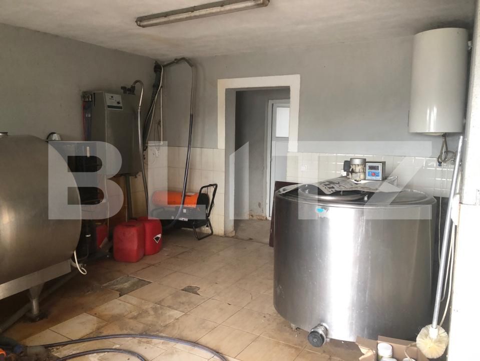 Teren de vânzare Mărtineşti - 204868TV | BLITZ Satu Mare | Poza4