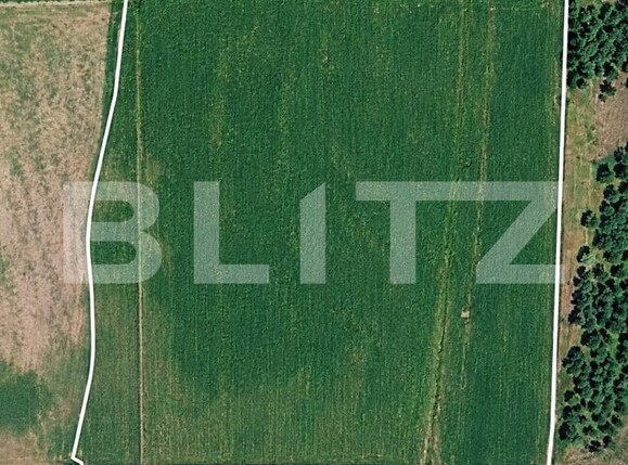 Teren de vânzare Sud - 205088TV | BLITZ Satu Mare | Poza1