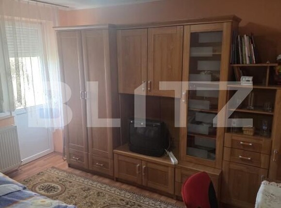 Apartament de vânzare 2 camere Botizului - 205239AV | BLITZ Satu Mare | Poza1