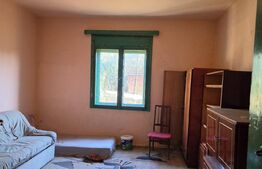 Casa 3 camere, 108 mp, 1334 mp teren, zona Viile Satu Mare