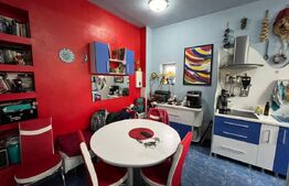 Apartament cu 2 Nivele în Centrul Orașului Satu Mare 