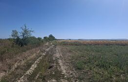 Teren intravilan, 3746 mp, zona Madaras 