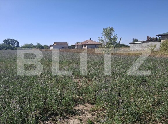 Teren de vânzare Mădăras - 205588TV | BLITZ Satu Mare | Poza3