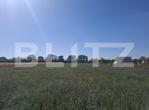 Teren de vânzare Mădăras - 205588TV | BLITZ Satu Mare | Poza1