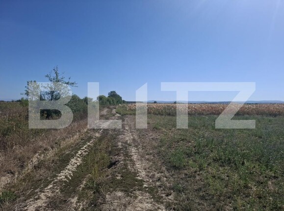 Teren de vânzare Mădăras - 205588TV | BLITZ Satu Mare | Poza4