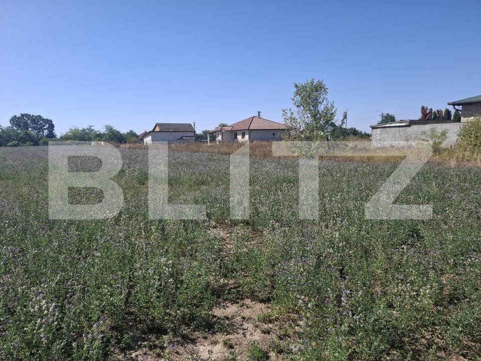 Teren de vânzare Mădăras - 205588TV | BLITZ Satu Mare | Poza3