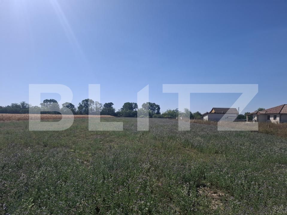 Teren de vânzare Mădăras - 205588TV | BLITZ Satu Mare | Poza2