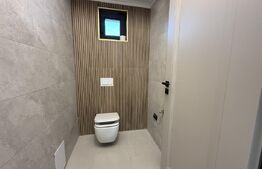 Casa cu 4 camere, 500 mp, zona Paulestiului