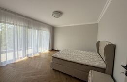 Casa cu 4 camere, 500 mp, zona Paulestiului