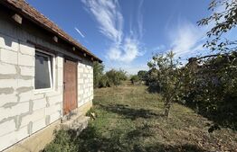 Casa cu 5 camere, 160 mp, 2.169 mp teren, zona Paulesti 