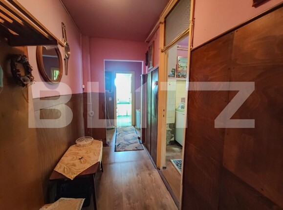 Apartament de vânzare 2 camere Micro 17 - 205923AV | BLITZ Satu Mare | Poza11