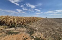 Teren extravilan de vanzare, 19.700 mp, pe centura Botizului
