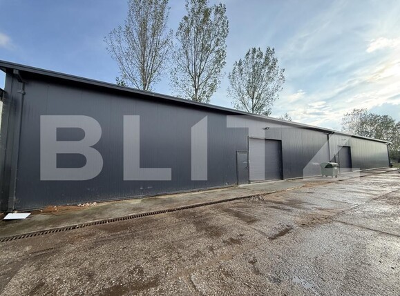 Spațiu comercial de închiriat Vetiş - 206248SIC | BLITZ Satu Mare | Poza1