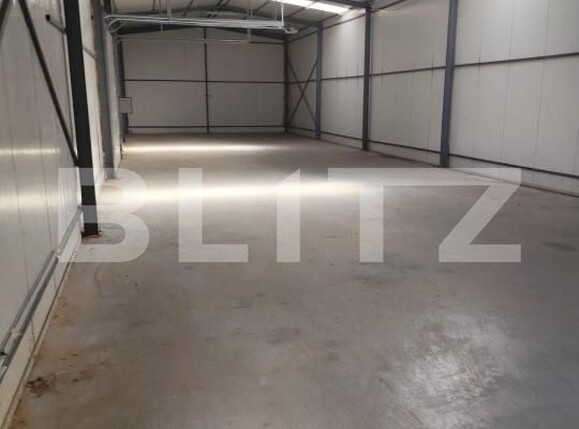 Spațiu comercial de închiriat Vetiş - 206248SIC | BLITZ Satu Mare | Poza3