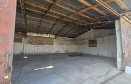 Ferma de bovine, 1800 mp, zona Lazuri