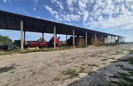 Ferma de bovine, 1800 mp, zona Lazuri