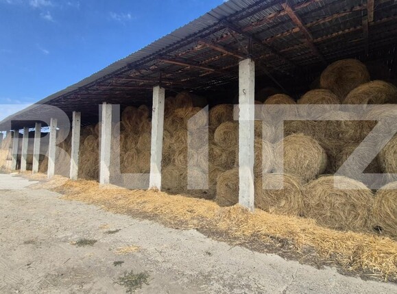 Spațiu industrial de închiriat Lazuri - 206476SII | BLITZ Satu Mare | Poza9