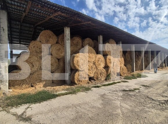 Spațiu industrial de închiriat Lazuri - 206476SII | BLITZ Satu Mare | Poza8