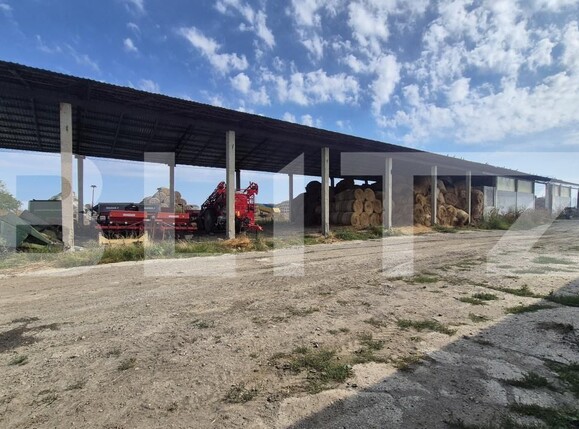 Spațiu industrial de închiriat Lazuri - 206476SII | BLITZ Satu Mare | Poza7