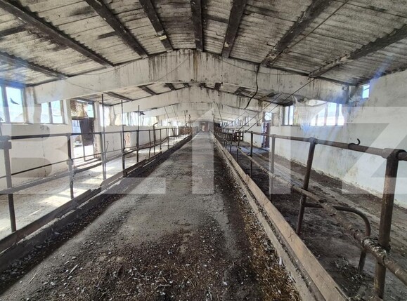Spațiu industrial de închiriat Lazuri - 206476SII | BLITZ Satu Mare | Poza2