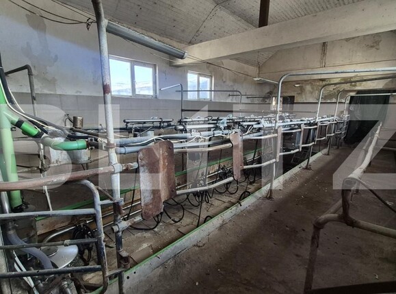 Spațiu industrial de închiriat Lazuri - 206476SII | BLITZ Satu Mare | Poza3
