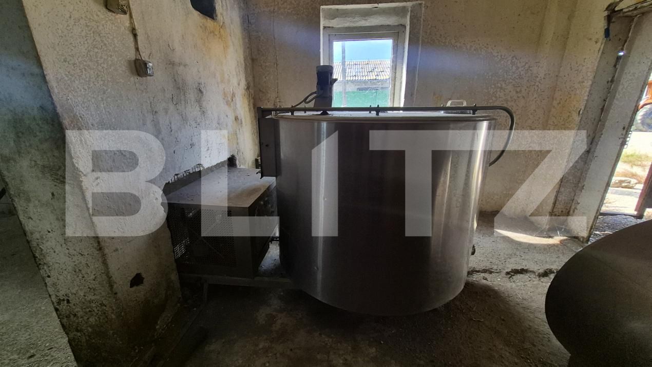 Spațiu industrial de închiriat Lazuri - 206476SII | BLITZ Satu Mare | Poza5