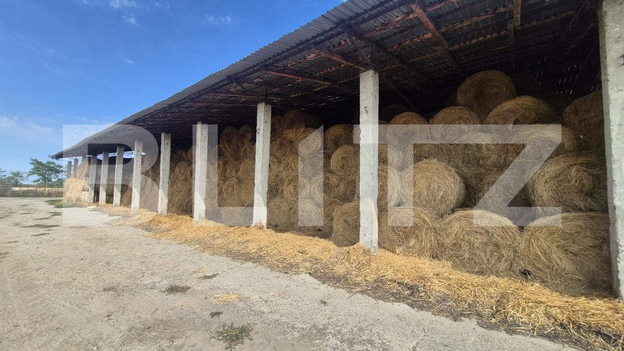 Spațiu industrial de închiriat Lazuri - 206476SII | BLITZ Satu Mare | Poza9