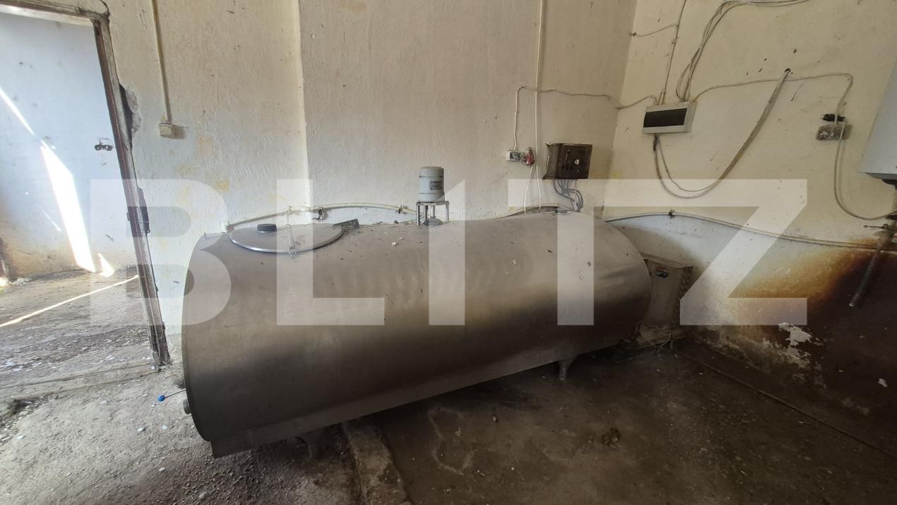 Spațiu industrial de închiriat Lazuri - 206476SII | BLITZ Satu Mare | Poza4