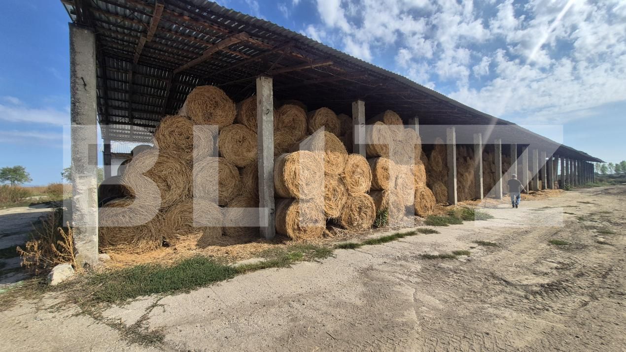 Spațiu industrial de închiriat Lazuri - 206476SII | BLITZ Satu Mare | Poza8