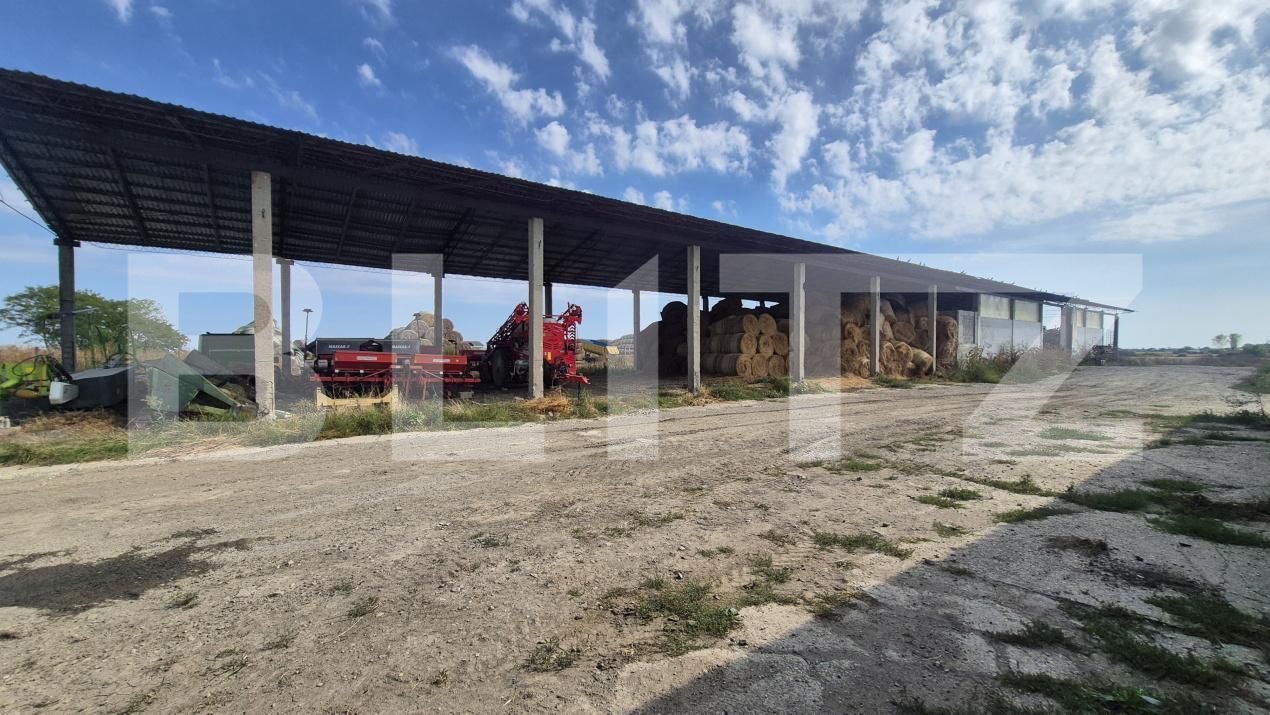 Spațiu industrial de închiriat Lazuri - 206476SII | BLITZ Satu Mare | Poza7